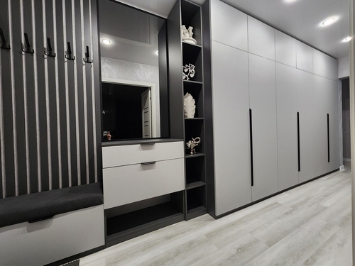 Шкафы-купе 2025